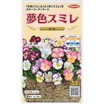 Amazon.co.jp: サカタのタネ 夢色スミレ 恋桜のタネ : DIY・工具